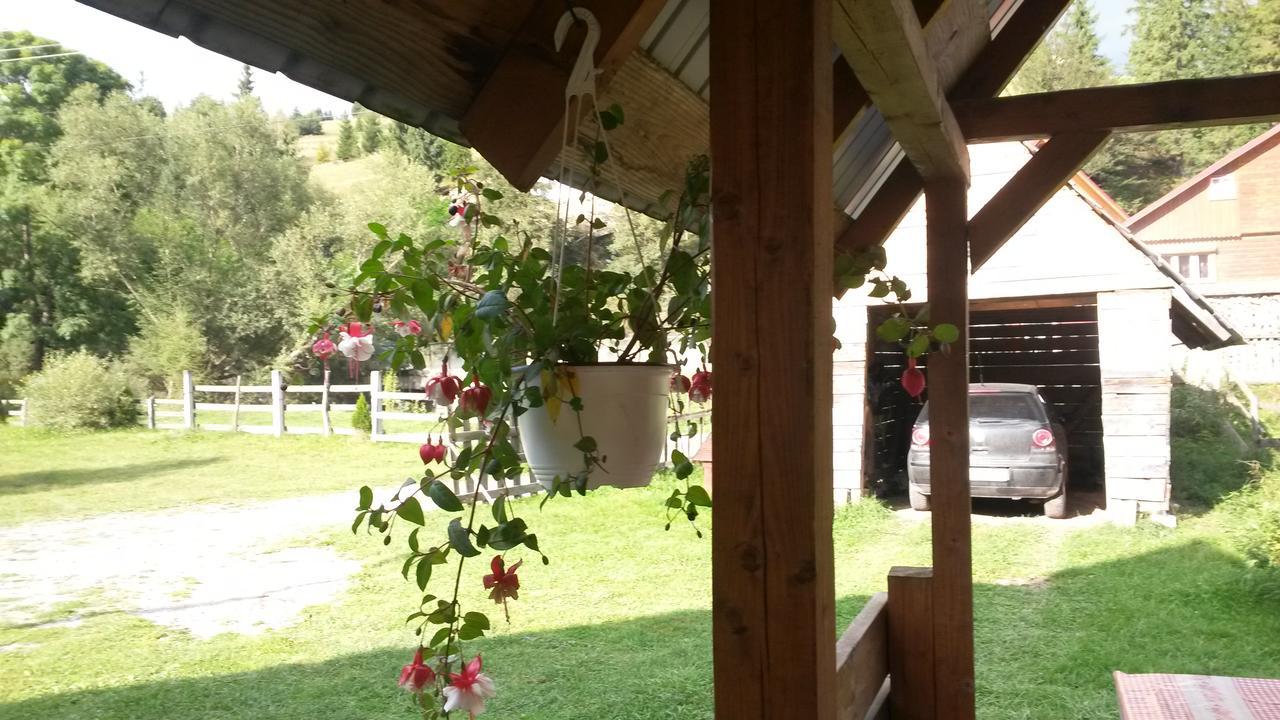 Vila Cabana Aurora Arieşeni Exteriér fotografie